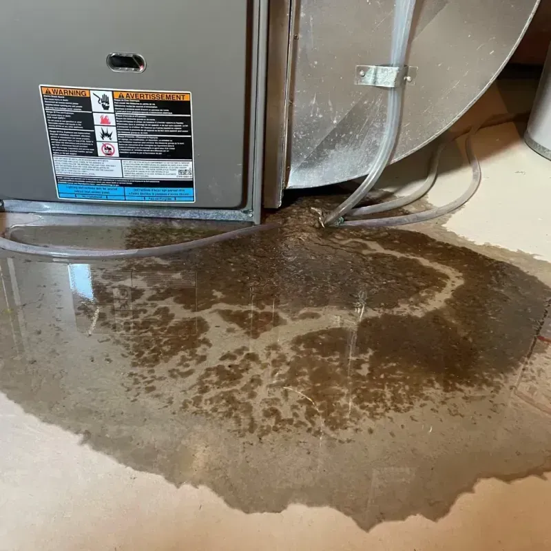 Appliance Leak Cleanup in Rio Del Mar, CA